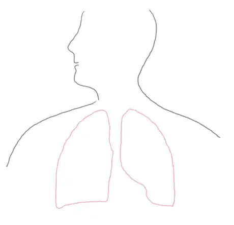 Image titled Rounded_respsyst_gb2653.png