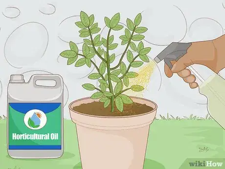 Image titled Get Rid of Plant Mites Step 4