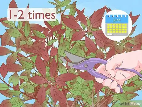 Image titled Prune Red Robin Step 8