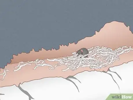 Image titled Tell How Many Rats Are in Your House Step 5