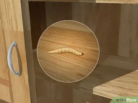 Image titled Get Rid of Moth Worms Step 8