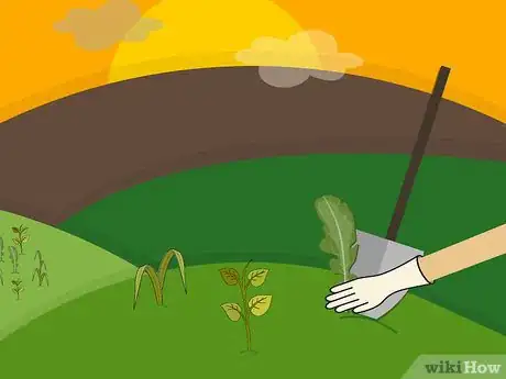 Image titled Remove Weeds from a Lawn Step 12