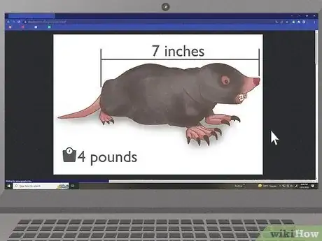 Image titled Get Rid of Moles in Your Garden Step 5