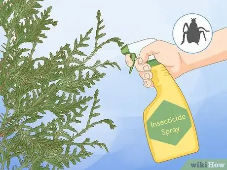 Image titled Plant Cedar Trees Step 18