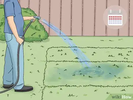 Image titled Take Care of Sod Step 2