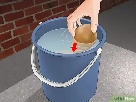 Image titled Clean Gourds Step 1