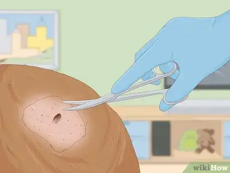 Image titled Remove a Dog’s Skin Tags at Home Step 6