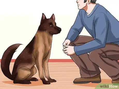 Image titled Adopt a Retired Police Dog Step 8