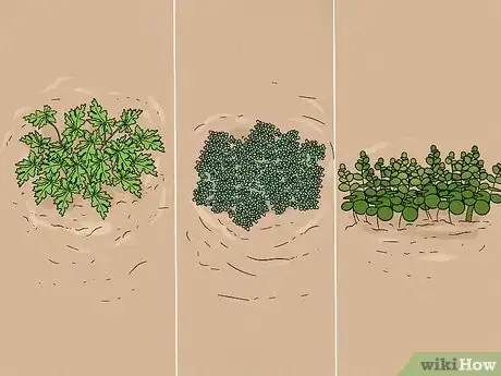 Image titled Keep Hornets Away Step 6