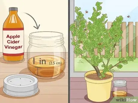 Image titled Get Rid of Fruit Flies in Plants Step 1
