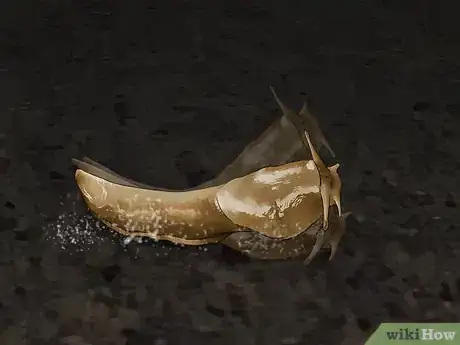 Image titled Does Salt Kill Slugs Step 7