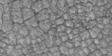 Close-up of high center polygons seen by HiRISE under HiWish program. Troughs between polygons are easily visible in this view.