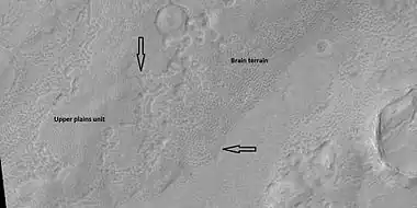 Brain terrain is forming from the breakdown of upper plains unit, as seen by HiRISE under HiWish program. Arrow points to a place where fractures are forming that will turn into brain terrain.