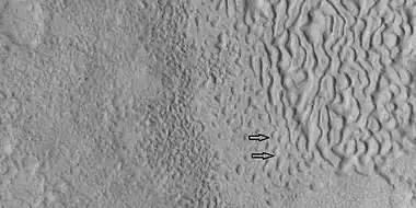 Brain terrain being formed, as seen by HiRISE under HiWish program. Note: this is an enlargement of a previous image using HiView.  Arrows indicate spots where brain terrain is beginning to form.