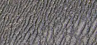 Close, color view of lines from previous image, as seen by HiRISE under HiWish program.  Here they look like old dunes.  Colors show different minerals.