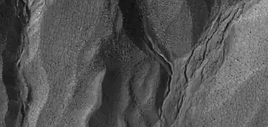 Close view of gullies, as seen by HiRISE under HiWish program. Polygonal shapes are visible.