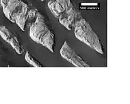 Enlargement of White Rock in Pollack Crater, as seen by HiRISE