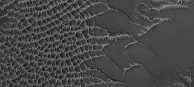 Close view of various shaped dunes  Picture is about 1 km across.