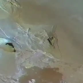 Voyager 1 photo of Io's highest peak, Boösaule Montes "South"