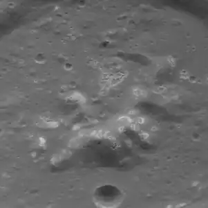 Hollows are present on and around the central peak complex of Pasch crater