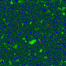 Chemical Imaging of a pharmaceutical emulsion with confocal Raman microscopy.