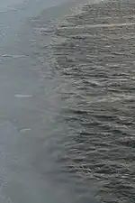 Grease ice in the Bering Sea