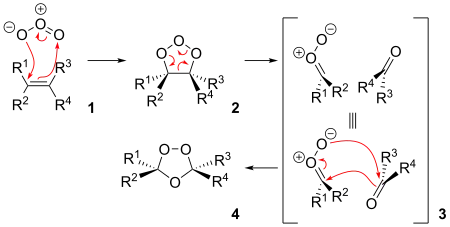 The reaction mechanism of ozonolysis.