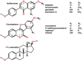Polyphenols include phytoestrogens (top and middle)
