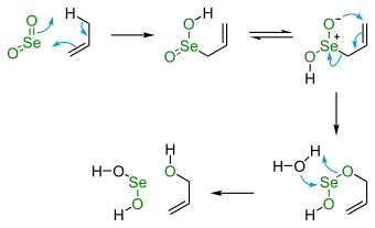 Scheme 1. Selenium dioxide oxidation