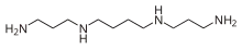Spermine is a long, symmetrical molecule capped at both ends with amino groups N H 2. It has two N H groups symmetrically placed within the molecule, separated from each other by four methylene groups C H 2, and from the amino ends by three methylene groups. Thus, the full molecular formula is N H 2 C H 2 C H 2 C H 2 N H C H 2 C H 2 C H 2 C H 2 N H C H 2 C H 2 C H 2 N H 2.