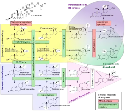 Chemical-diagram flow chart