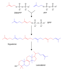 Chemical-diagram flow chart