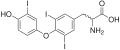 Triiodothyronine (T3), another thyroid hormone.