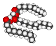 A space-filling model of an unsaturated triglyceride.