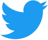 Twitter logo, a stylized blue bird