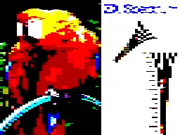 4x1 attributes example image