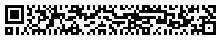 Rectangular Micro QR Code (rMQR Code) version R11x77