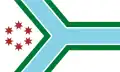 The flag of Cook County, Illinois, adopted in June 2022 and taking design cues from the Flag of Chicago, its county seat