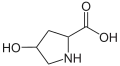 Hydroxyproline. This imino acid differs from proline due to a hydroxyl group on carbon 4.