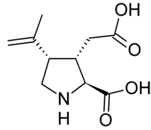 Stereo, skeletal formula of kainic acid