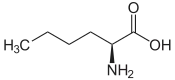 norleucine (n-butyl side-chain)