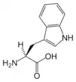 L-Tryptophan(Trp / W)