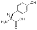 Tyrosine