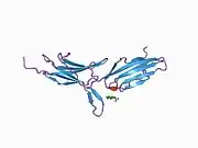 1bqs: THE CRYSTAL STRUCTURE OF MUCOSAL ADDRESSIN CELL ADHESION MOLECULE-1 (MADCAM-1)