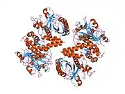 1hyn: CRYSTAL STRUCTURE OF THE CYTOPLASMIC DOMAIN OF HUMAN ERYTHROCYTE BAND-3 PROTEIN