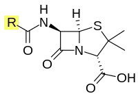 Penicillin core.