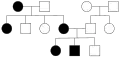Autosomal dominant disorders do not skip a generation, so affected offspring have affected parents. One parent must have the disorder for its offspring to be affected. Both males and females are equally likely to be affected, so it is an autosomal disorder.