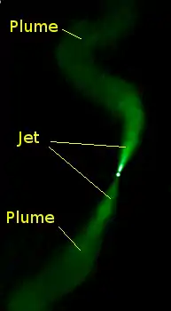 Radio galaxy 3C31.png