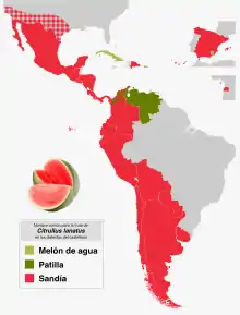A map of Spanish-speaking territories and their common names for watermelon: the substantial majority use sandia, with some using patilla or melón de agua